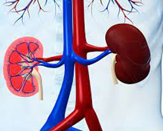 Urology