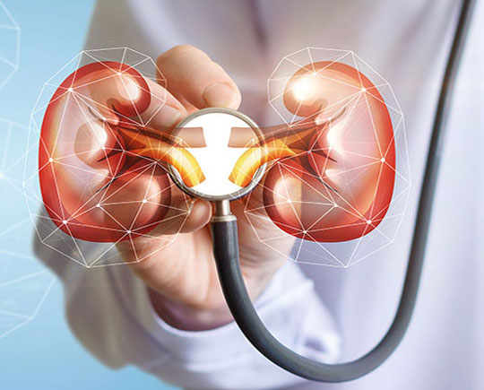 Nephrology