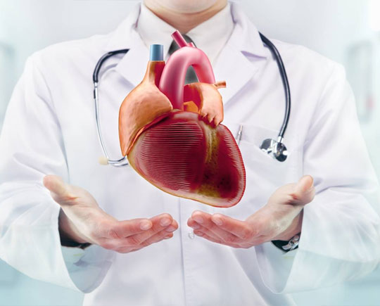 Cardiology